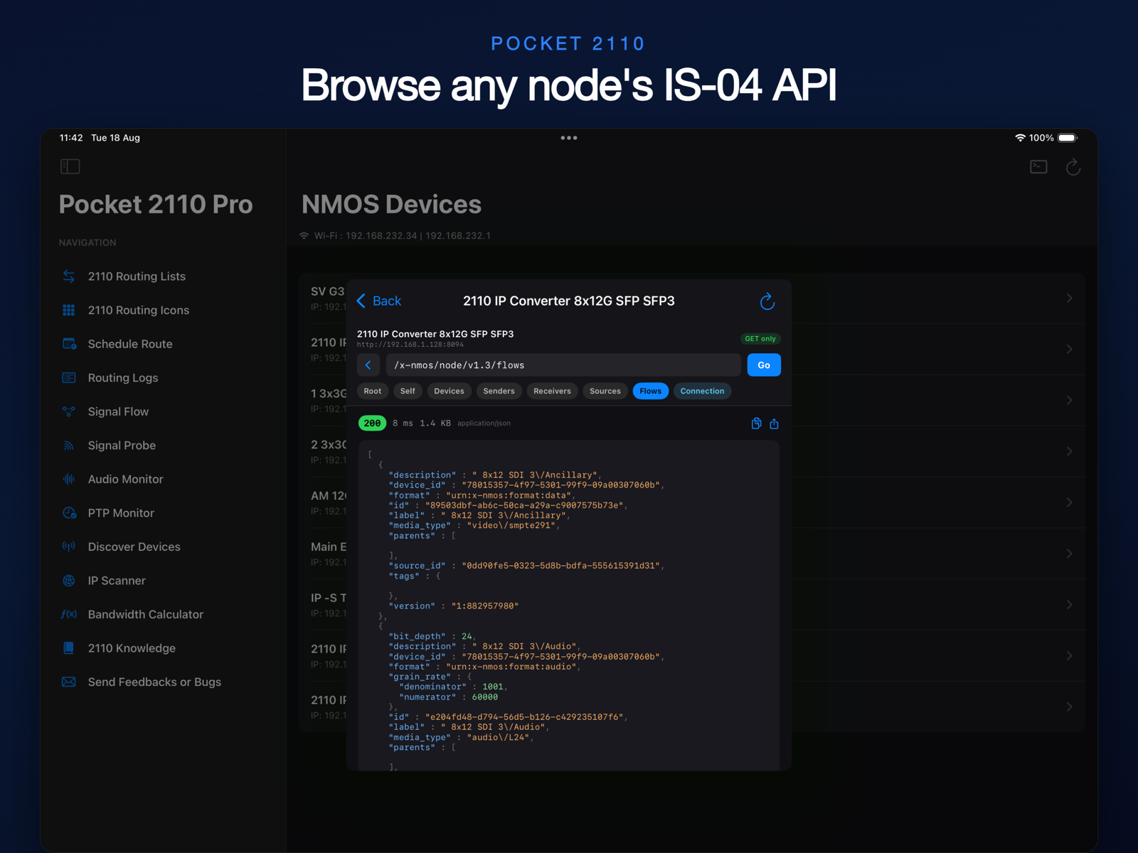 NMOS API console browsing a node's IS-04 API